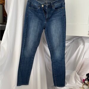 Articles Of Society Indigo Skinny Jeans